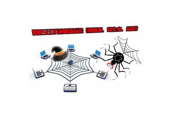 黑帽蜘蛛池助力，開啟網絡推廣高效引流新篇章